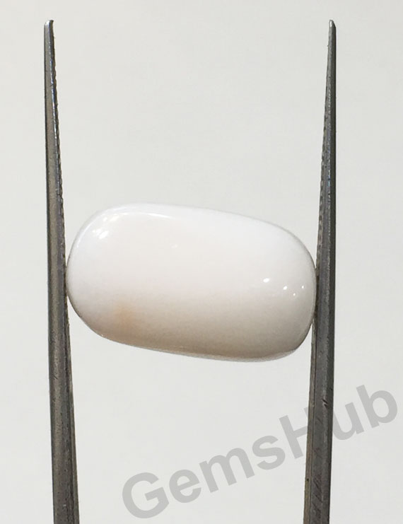 7.29 ct Natural Certified  White Coral/सफ़ेद मूंगा
